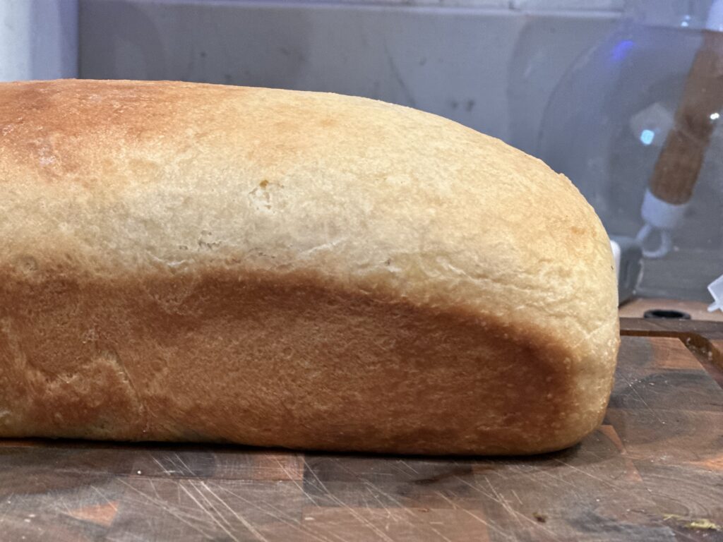 Sourdough sandwich bread you can do at home that kids love!