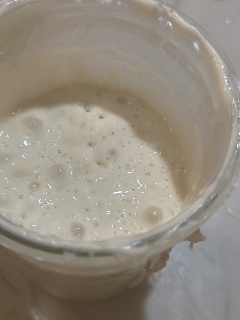 how to make sourdough starter from scratch