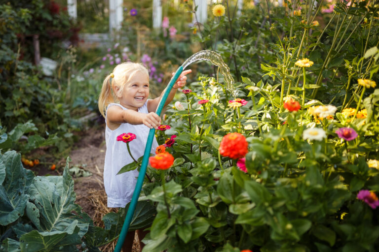 Water Quality in Your Garden: How to Test, Filter, and Improve Your Water Source